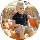 игра украсть тыкву